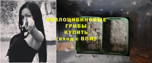 спиды Армянск