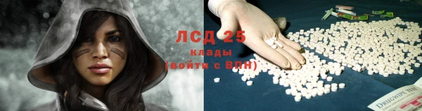 твердый Аркадак