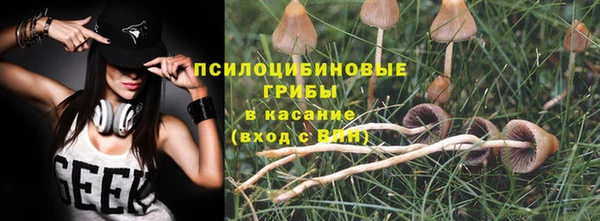каннабис Арсеньев
