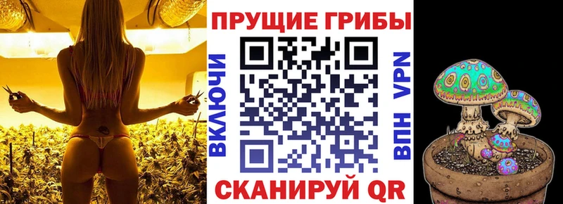 Галлюциногенные грибы Cubensis Дорогобуж